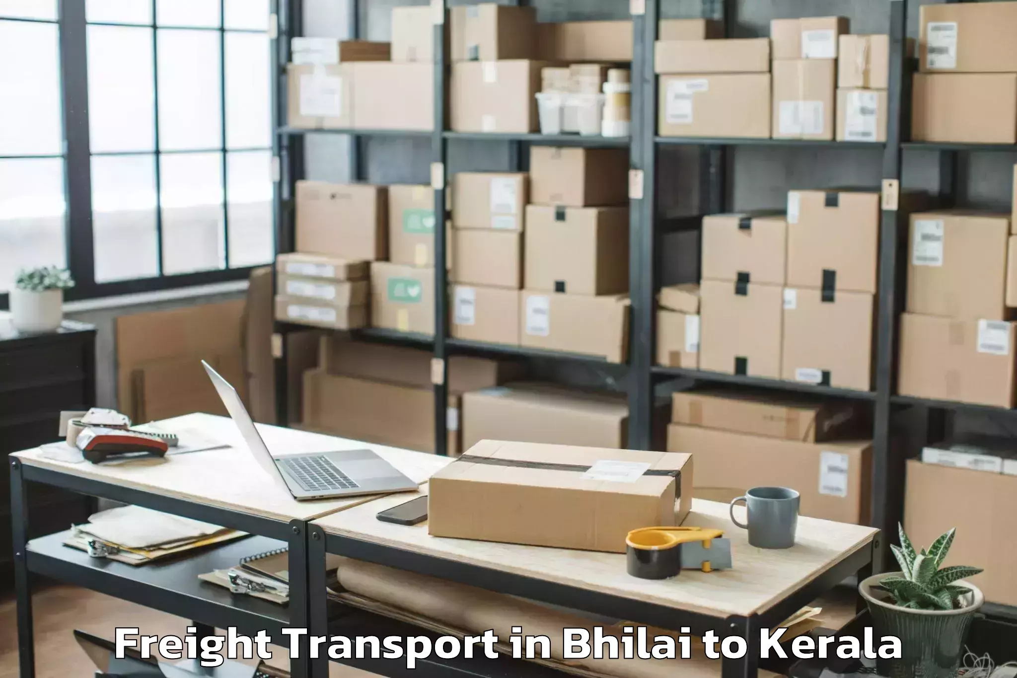 Leading Bhilai to Thunchath Ezhuthachan Malayala Freight Transport Provider